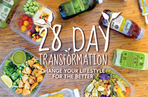 
                  
                    28 Day Transformation Program
                  
                