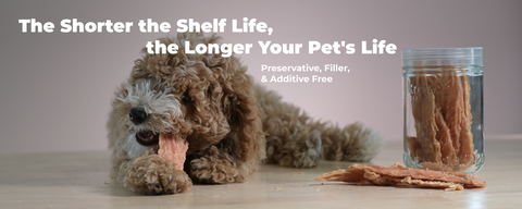 pets-video