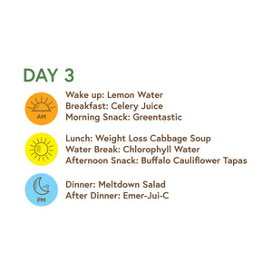 3 Day Sugar Flush
